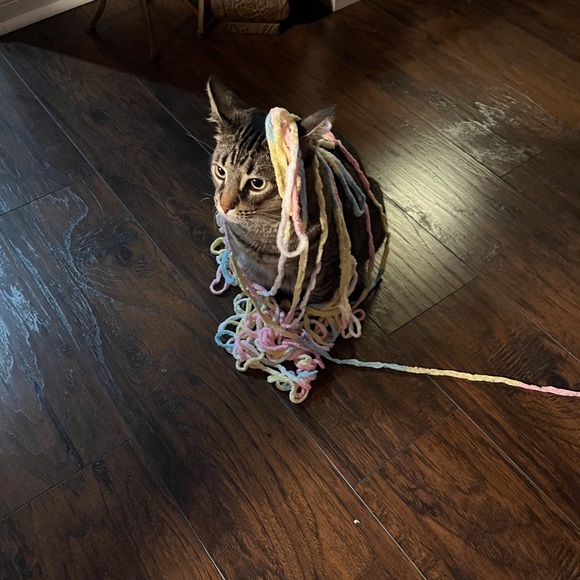 Meet your Posher, Barbara - Picture 8 of 16